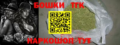 молекула духа Кингисепп