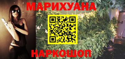 молекула духа Кингисепп