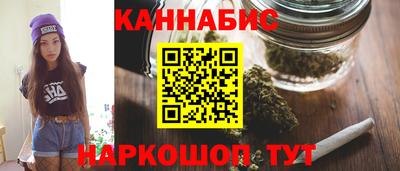 молекула духа Кингисепп