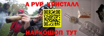 молекула духа Кингисепп