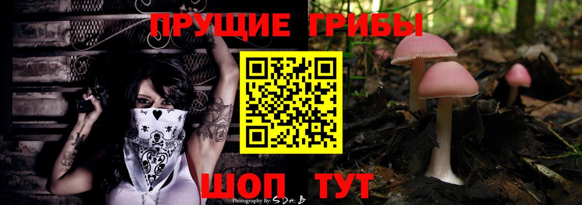 Учалы  Псилоцибиновые грибы ЛСД  Вход с VPN  Галлюциногенные грибы GOLDEN TEACHER 